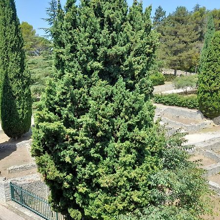 Grande Terrasse Et Vue Sur Le Site Antique Apartamento Vaison-la-Romaine Exterior foto